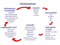 Sjá stærri mynd