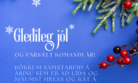 Jólalokun skrifstofu