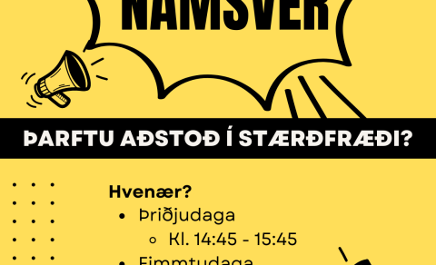 Námsver í stærðfræði