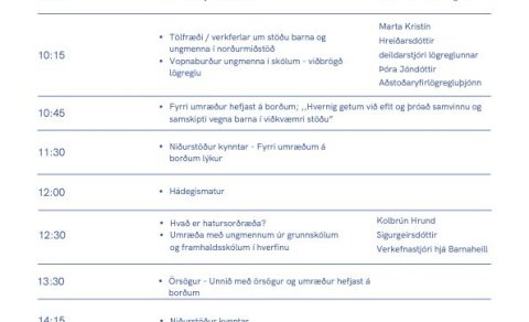 Vinnustofa um börn í viðkvæmri stöðu