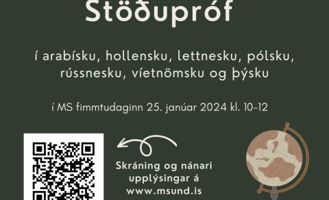 Stöðupróf 25. janúar