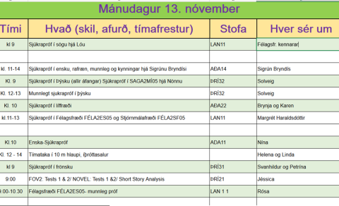 Sjúkrapróf mánudaginn 13. nóv