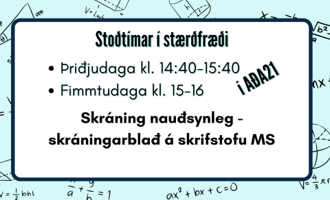 Stoðtímar í stærðfræði